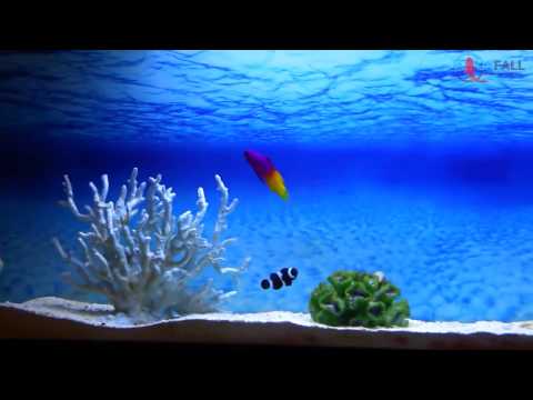 Настенный аквариум Aquafall WM200 с задней LED подсветкой